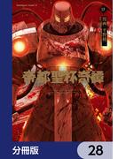 帝都聖杯奇譚 Ｆａｔｅ／ｔｙｐｅ Ｒｅｄｌｉｎｅ【分冊版】　28(角川コミックス・エース)