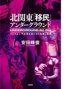 北関東「移民」アンダーグラウンド　ベトナム人不法滞在者たちの青春と犯罪(文春e-book)