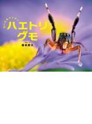 ちいさなハンター　ハエトリグモ(ふしぎいっぱい写真絵本)