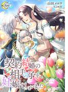 契約結婚の相手の子を妊娠してしまいました(e-ノワール)