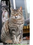 猫に会いたくて　いつでも会いに来てニャ♪(猫パンチ)