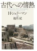 古代への情熱(角川ソフィア文庫)