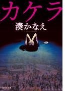 カケラ(集英社文庫)