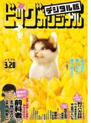 ビッグコミックオリジナル　2023年6号（2023年3月3日発売)