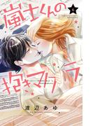 嵐士くんの抱きマクラ（６）