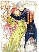 売られた辺境伯令嬢は隣国の王太子に溺愛される【コミックス版】 ： 3(COMIC ROOM)