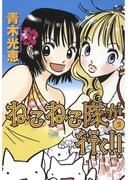 ねこねこ隊が行く！！(3)