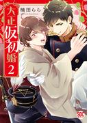 大正仮初婚【単行本版】2【電子書店限定特典付き】(BL宣言)