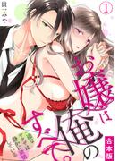 お嬢は俺のすべて。一途なヤクザは静かに欲情している【合本版】(1)(TL★オトメチカ)