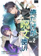 俺だけが呪文使い ２(ゴーレムファクトリーノベル)