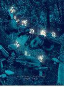 ふしぎの森のふしぎ