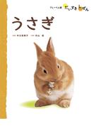 うさぎ(フレーベル館だいすきしぜん)