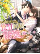 エリート部長との蜜甘同居は溺愛で溢れています(夢中文庫クリスタル)