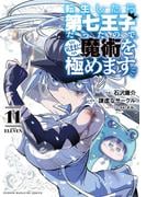 転生したら第七王子だったので、気ままに魔術を極めます（11）