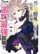 味方が弱すぎて補助魔法に徹していた宮廷魔法師、追放されて最強を目指す（７）
