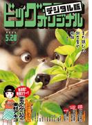 ビッグコミックオリジナル　2023年10号（2023年5月2日発売)