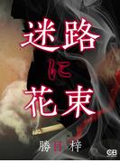 迷路に花束(シティブックス)