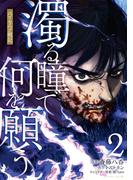 濁る瞳で何を願う　ハイセルク戦記（２）