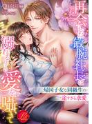 再会した敏腕社長は溺れるほどの愛を囁いて　～帰国子女な同級生の一途すぎる求愛～(濃蜜ラブルージュ)