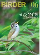 BIRDER2023年6月号