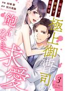 強引で、勝手で、溺愛で～極上御曹司の飽くなき求愛～3巻(Berry's COMICS)