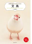 文鳥(小動物★飼い方上手になれる！)