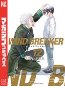 ＷＩＮＤ　ＢＲＥＡＫＥＲ（12）