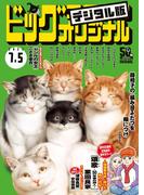 ビッグコミックオリジナル　2023年13号（2023年6月20日発売)