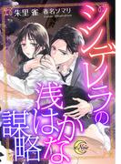 シンデレラの浅はかな謀略(e-ノワール)