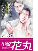 小説花丸 Vol.37(小説花丸)