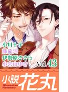 小説花丸 Vol.43(小説花丸)