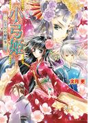 小弓姫　‐公主宮の秘め事‐(B's‐LOG文庫)