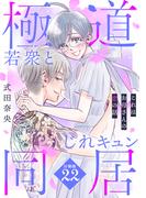これはお母さんの恋の話～極道若衆とじれキュン同居～［ｃｏｍｉｃ　ｔｉｎｔ］　分冊版（22）