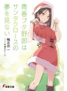 青春ブタ野郎はサンタクロースの夢を見ない(電撃文庫)