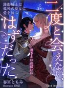 二度と会えない、はずだった～護衛騎士は孤独の皇女に愛を捧ぐ～(IRIEnovel)