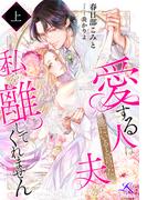 愛する人は他にいると言った夫が、私を離してくれません（上）(ルーニカノベルス)