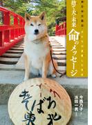 東日本大震災・犬たちが避難した学校 捨て犬・未来 命のメッセージ