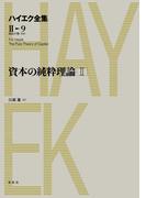 資本の純粋理論II