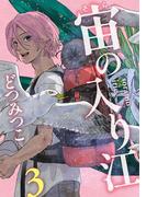 宙の入り江（３）(祥伝社コミックス)
