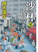 沙林　偽りの王国（下）（新潮文庫）(新潮文庫)