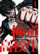 【全1-2セット】極道高校生