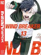 ＷＩＮＤ　ＢＲＥＡＫＥＲ（13）