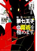 転生したら第七王子だったので、気ままに魔術を極めます（12）