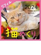Cats Calendar 猫めくり リフィル2024 １年366日、猫まみれ