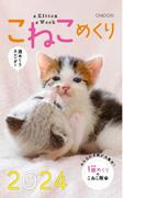 こねこめくり2024