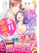 お義兄ちゃん、好きってイってもいいですか？ エリート弁護士に蜜月申請中！【電子単行本版】(カノンミアコミックス)