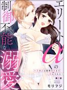 エリートαの制御不能な溺愛 ～氷のαは秘密の奥まで溶かされる～（分冊版） 【第2話】(蜜恋ティアラ)