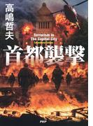 首都襲撃
