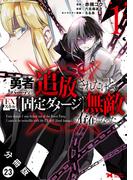 勇者パーティから追放されたけど、ＥＸスキル【固定ダメージ】で無敵の存在になった（コミック） 分冊版 ： 23(モンスターコミックス)