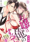 お嬢は俺のすべて。一途なヤクザは静かに欲情している【合本版】(3)(TL★オトメチカ)